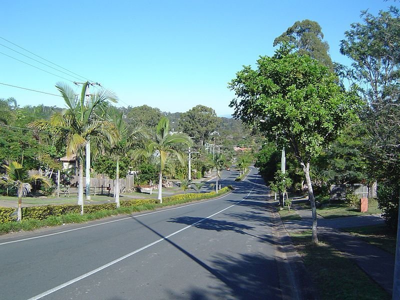 highway with trees